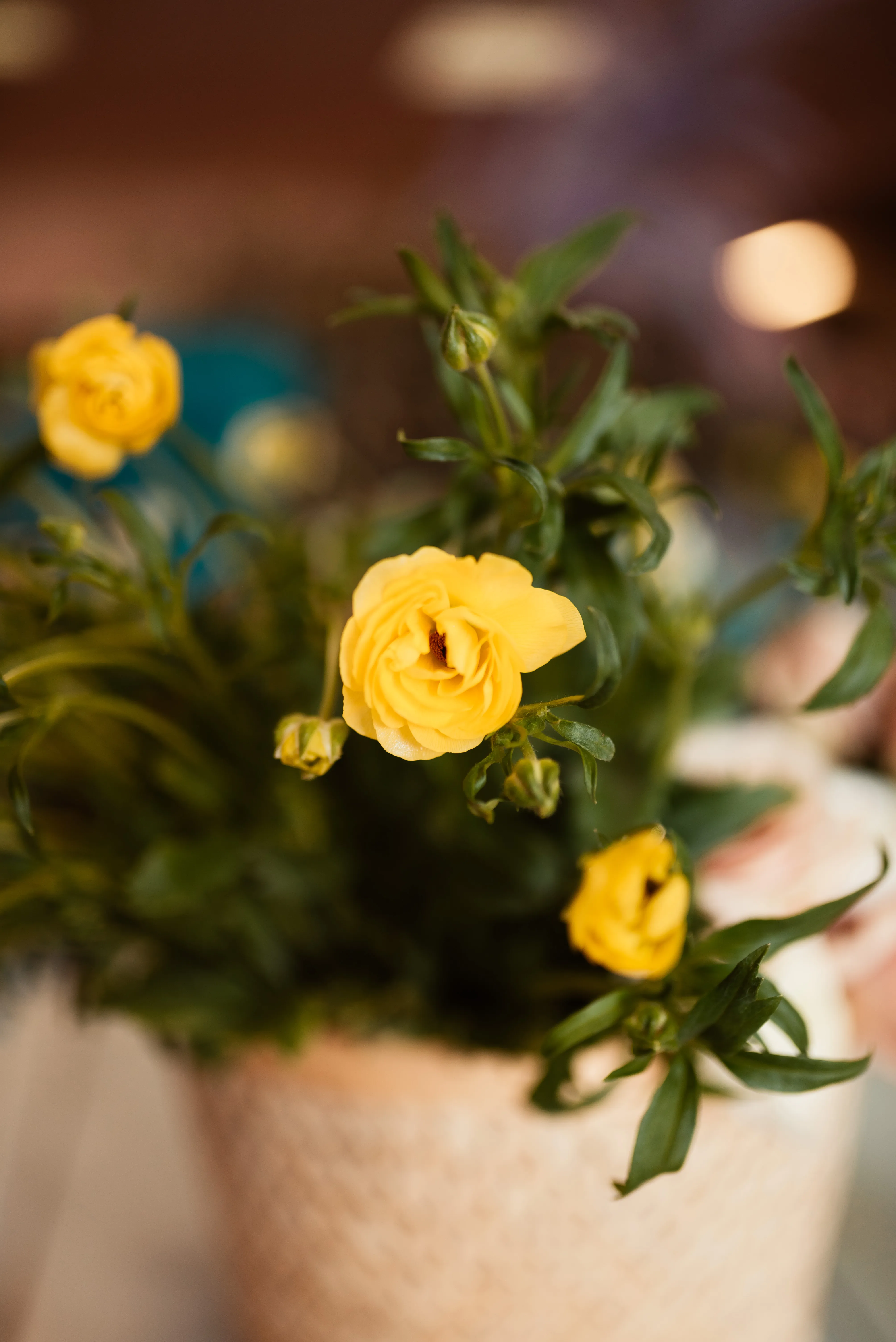 Dettaglio di composizione floreale
